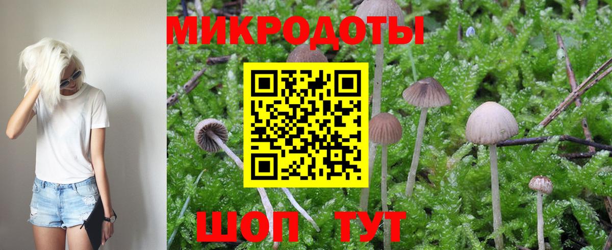 Галлюциногенные грибы прущие грибы Комсомольск-на-Амуре